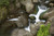 Posterazzi DPI2116295 Hawaii Maui Iao River Valley waterfall_ Poster Print 19 x 12