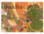 Buddha Note Cards - Boxed Set of 16 Note Cards with Envelopes