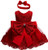 Baby Girls Party Dresses Birthday Wedding Little Flower Girl Formal Dress Bowknot Baptism Tutu Red Dress for Babies 12 Months