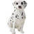 Sandicast Small Size Black Dalmatian Sculpture, Sitting