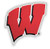 Wisconsin Badgers Auto Badge Emblem Hard Thick Acrylic