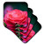 3dRose Rose from The Portland Rose Garden, Portland, Oregon, USA. - Soft Coasters, Set of 8 (CST_209395_2)