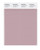 PANTONE SMART 15-1607X Color Swatch Card, Pale Mauve