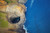 Posterazzi DPI2275833 Aerial View of The Rugged Coastline and Tide Pool in A Hole Along an Hawaiian Island Na Pali Coast of Kauai Hawaii United States of America Photo Print 19 x 12 Multi