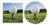 Golf Party Supplies Ball  and  Tee Paper Dinner Plates and Luncheon Napkins Serves 16