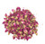 Greenlike Organic Dried Rosebud Flower Rose Bug tea 16oz Rose tea ??? ????