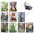 The Best Card Company - 20 Cute Kids Cards Boxed 4 x 5.12 Inch - Assorted Blank Set 10 Designs 2 Each - Fantastic Faeries AM3367OCB-B2x10