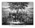 Posterazzi Civil War showing the surrender Robert E. Lee to General Ulysses S. Grant Poster Print 15 x 12