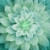 Hoffman Digital Dream Big 43 Floral Panel Spruce Quilt Fabric