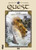 Quest for Adventure Discovering Our Worlds Mysteries