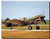 P-40 Warhawk Military Jet Airplane Aircraft Aviation Wall Decor Art Print Poster 16x20