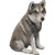 Sandicast Mid Size Gray Mexican Wolf Sculpture, Sitting