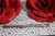 Beauticontrol Lip Perfecting Pencilcrayon SPICE