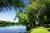 Posterazzi Spring On The River V Poster Print by Alan Hausenflock 10 x 14