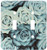 3dRose LLC lsp_109670_2 Turquoise N Aqua Roses Double Toggle Switch
