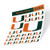 University of Miami NCAA Sticker Vinyl Decal Laptop Water Bottle Car Scrapbook Type 3 Sheet C