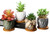 Set of 4 Modern Style Marbling Ceramic Flower Pot SucculentCactus Pots Container Bonsai Planters with Bamboo Trays Plants Not Included
