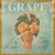 Posterazzi Collection Grape Poster Print by A.V. Art 12 x 12