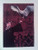 Harry Potter Movie Series Sticker - Harry and Hedwig