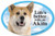 Prismatix Akita Oval Dog Magnet for Cars