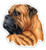 GT Graphics Bullmastiff - 3inch  Vinyl Sticker - For Car Laptop I-Pad Phone Helmet Hard Hat - Waterproof Decal