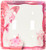 3dRose LLC lsp_150936_2 Cupcake Window Box with Butterflies in Reds and Pinks Double Toggle Switch