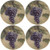 Thirstystone Stoneware Grapes Coaster, Multicolor
