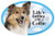 Prismatix Collie Oval Dog Magnet for Cars
