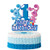 Blues Clues Cake Topper Birthday Cake Decoration for 1st first Birthday