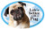 Prismatix Decal Cat and Dog Magnets, Pug