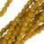 Jablonex Czech Fire Polished Glass Beads 3mm Round Mustard Yellow 50
