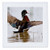 3dRose Wood Duck, Aix Sponsa, Male Flapping Wings in Wetland, Marion Co. Il-Quilt Square, 10 by 10" (qs_208133_1)