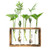 Vumdua Glass Planter Propagation Station, Test Tube Planter, Plant Terrarium Test Tube with Wood Stand for Propagating Hydroponic Plants Home Garden Decor 5 Test Tube Vumdua Glass Planter Propagation Station, Test Tube Planter, Plant Terrarium Test Tube with Wood Stand for Propagating Hydroponic Plants Home Garden Decor 5 Test Tube