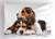 Lunarable Beagle Pillow Sham, Pet Puppies Friends Sleeping Together Illustration, Decorative Standard King Size Printed Pillowcase, 36inch  X 20inch , Brown Dark Taupe Pale Brown and White