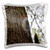 3dRose Dreamscapes by Leslie - Birds - Red-bellied woodpecker on a tree - Pillow Cases pc_314288_1