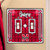 NCAA Nebraska Cornhuskers Art-Glass Double Switch Plate Cover