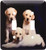3dRose LSP_61885_2"3 Yellow Labs Portrait Double Toggle Switch
