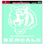 NFL Cincinnati Bengals 18-by-18-Inch Diecut  Decal