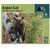 Aspen CUB, 550 Piece Puzzle by Puzzles That Rock