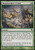 Magic The Gathering - Gloomwidow39 s Feast - Shadowmoor