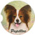 E and S Pets Papillon Coaster  3inch  x 3inch