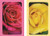 Springbok Roses Bridge Playing Cards Jumbo Index Playing Cards