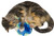 Imperial Cat Cat _n Around  Jitters Catnip Toy
