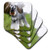 3dRose CST_4056_1 Schnauzer Soft Coasters, Set of 4