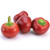 50 Count Large Red Cherry Pepper Seeds inch COOL BEANS N SPROUTSinch  Brand. Heirloom. Non-GMO. Home Gardening.