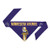 Littlearth NFL Minnesota Vikings Pet Bandanna  Small Purple x Small  Team Color -320601-VIKG-XS-