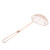 Hemoton Asian Spider Strainer Stainless Steel Wire Skimmer Ladle with Spiral Mesh Professional Skimmer Spoon Food Spaetzle Chips Strainer Ladle Colander Rose Gold