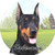 E and S Pets Doberman Coaster  3inch  x 3inch  -231-101-