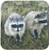 3dRose Two Raccoons Coaster, Soft, Set of 4