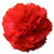 50 SCARLET RED CARNATION Caryophyllus Grenadin Flower SeedsComb S H